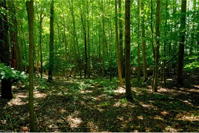 0 Tesh Road, Germanton, NC 27019 - Photo 12