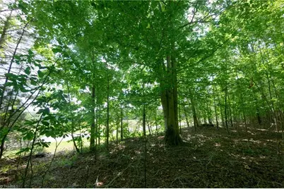 0 Tesh Road, Germanton, NC 27019 - Photo 14
