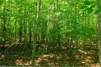 0 Tesh Road, Germanton, NC 27019 - Photo 10