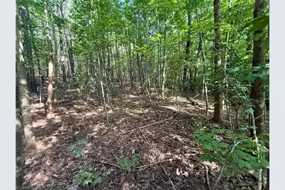 0 Piney Grove Road, Kernersville, NC 27284 - Photo 18