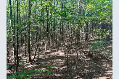0 Piney Grove Road, Kernersville, NC 27284 - Photo 20