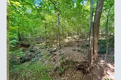 0 Piney Grove Road, Kernersville, NC 27284 - Photo 6