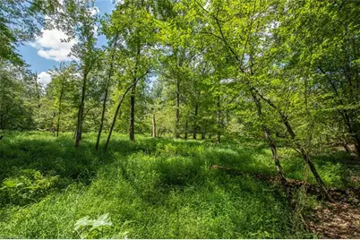 8942 Spearman Road, Reidsville, NC 27320 - Photo 34