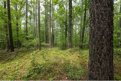8942 Spearman Road, Reidsville, NC 27320 - Photo 6