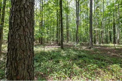 8942 Spearman Road, Reidsville, NC 27320 - Photo 22
