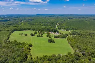 6851 Brantley Gordon Rd, Denton, NC 27239 - Photo 48