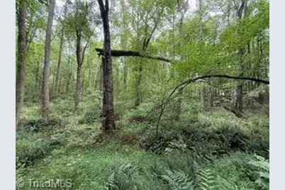 00 Rock Hill Church Road, Ararat, NC 27007 - Photo 10