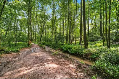 5638 Greenhorn Road, Roaring River, NC 28669 - Photo 26