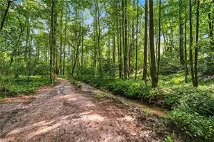 5638 Greenhorn Rd, Roaring River, NC 28669 - Photo 26