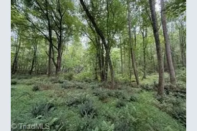 00 Rock Hill Church Road, Ararat, NC 27007 - Photo 12