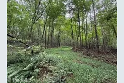 00 Rock Hill Church Road, Ararat, NC 27007 - Photo 12