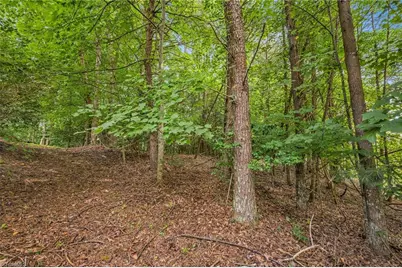 Tbd Willowbrook Lane, Wilkesboro, NC 28659 - Photo 16