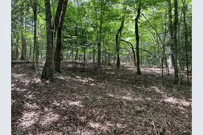 0 Sawyer Road, Hays, NC 28635 - Photo 6