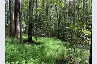 0 Sawyer Road, Hays, NC 28635 - Photo 8