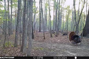 1260A Beaver Island Trail Rd, Walnut Cove, NC 27052 - Photo 38