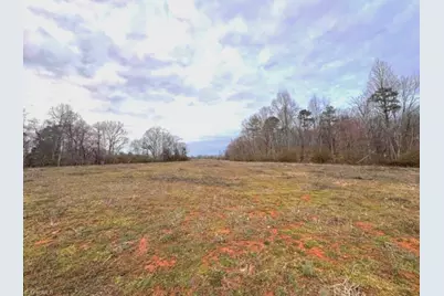 10 Acres Hogan Creek Road, Siloam, NC 27047 - Photo 8