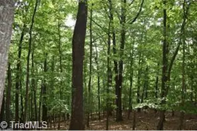 4 Greenstreet Drive, Traphill, NC 28685 - Photo 1