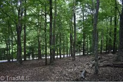 71 Grandview Drive, Traphill, NC 28685 - Photo 8