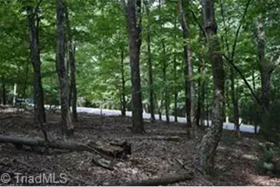 71 Grandview Drive, Traphill, NC 28685 - Photo 6