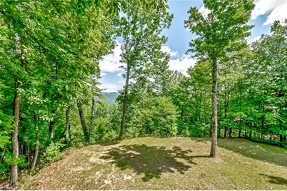 1050 Staghorn Road, Purlear, NC 28665 - Photo 20