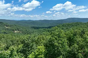 1050 Staghorn Rd, Purlear, NC 28665 - Photo 22