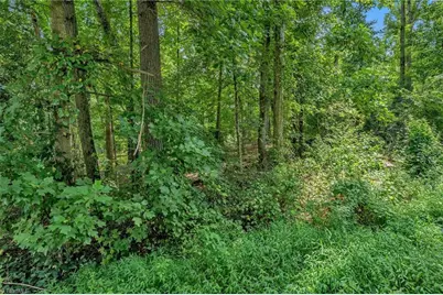 Tbd Raven Oak Drive, Wilkesboro, NC 28697 - Photo 4