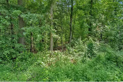 Tbd Raven Oak Drive, Wilkesboro, NC 28697 - Photo 4