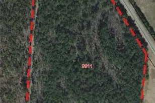 815 Landfill Rd, Mount Gilead, NC 27306 - Photo 1