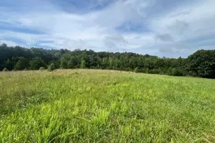 0 Dorse Rd, Lewisville, NC 27023 - Photo 1