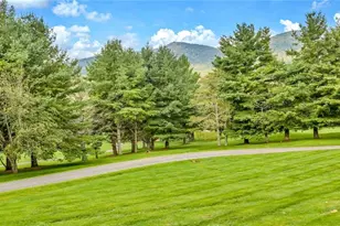 1063 Golf Course Rd, West Jefferson, WV 26894 - Photo 42