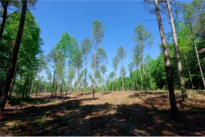 0 Carson Road, Cleveland, NC 27013 - Photo 8