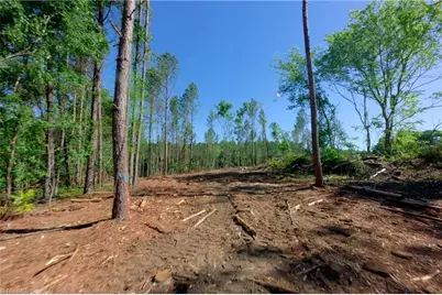 0 Carson Road, Cleveland, NC 27013 - Photo 6
