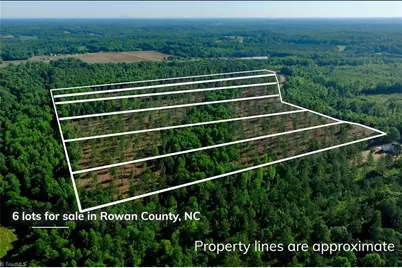 0 Carson Road, Cleveland, NC 27013 - Photo 12