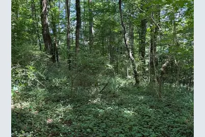 0 S Mineral Springs Drive, Jonesville, NC 28642 - Photo 4