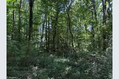 0 S Mineral Springs Drive, Jonesville, NC 28642 - Photo 6