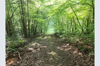 0 River Bluff Farms Road, Tobaccoville, NC 27050 - Photo 30