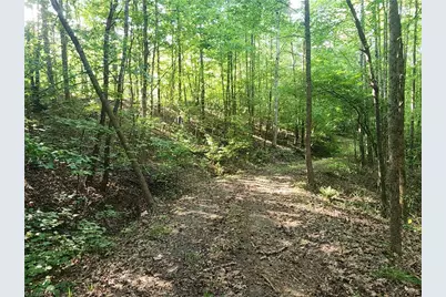 0 River Bluff Farms Road, Tobaccoville, NC 27050 - Photo 16