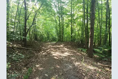 0 River Bluff Farms Road, Tobaccoville, NC 27050 - Photo 20