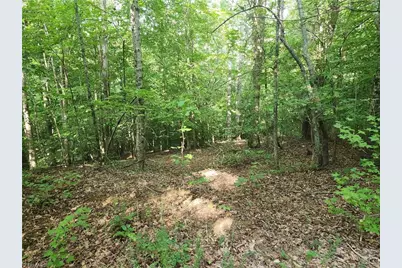 0 River Bluff Farms Road, Tobaccoville, NC 27050 - Photo 28