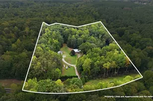 320 Stanley Rd, Stokesdale, NC 27357 - Photo 4