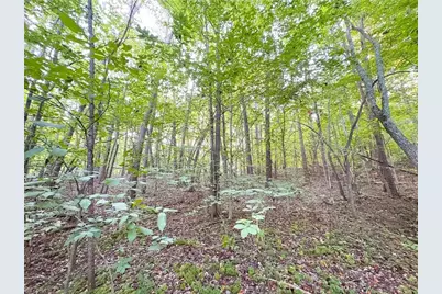 320 Stanley Road, Stokesdale, NC 27357 - Photo 46