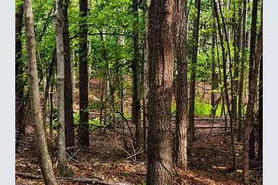 0 Jennings Road, Randleman, NC 27317 - Photo 18