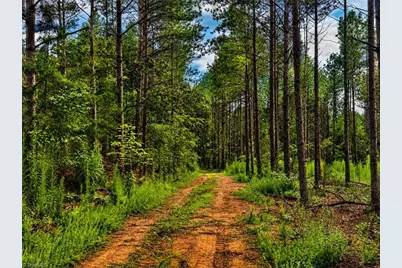 0 Jennings Road, Randleman, NC 27317 - Photo 4