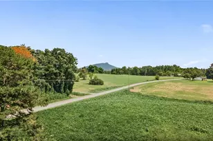 113 Kudzu Creek Trail, Siloam, NC 27047 - Photo 36