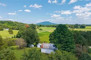 113 Kudzu Creek Trail, Siloam, NC 27047 - Photo 48