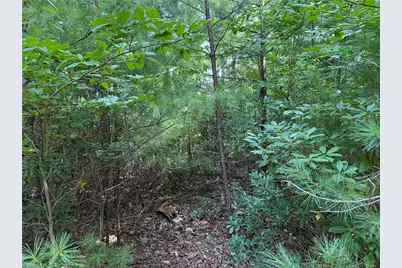 Lot 119 Rich Pine Drive, Purlear, NC 28665 - Photo 6