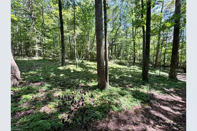 00 Rocky Face Church Road, Taylorsville, NC 28681 - Photo 4