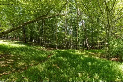 220 Collins Road, Elkin, NC 28621 - Photo 36