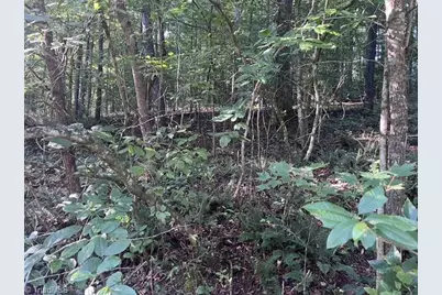 0 Mount Bethel Church Road, East Bend, NC 27018 - Photo 14