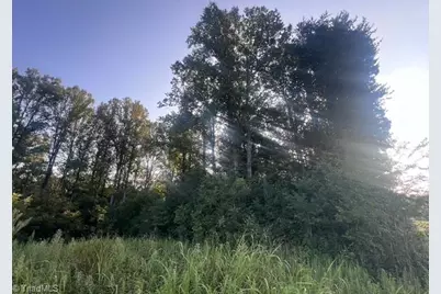 0 Mount Bethel Church Road, East Bend, NC 27018 - Photo 12